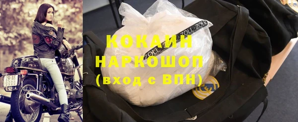 ешки Алексин