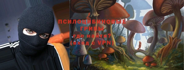 ECSTASY Алексеевка