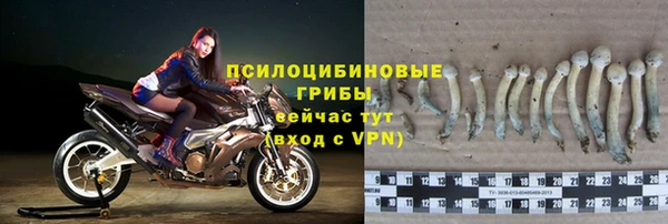 ECSTASY Алексеевка