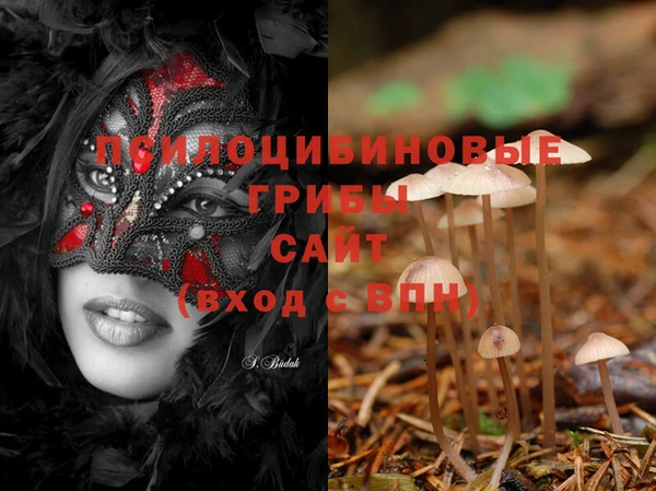 ECSTASY Алексеевка