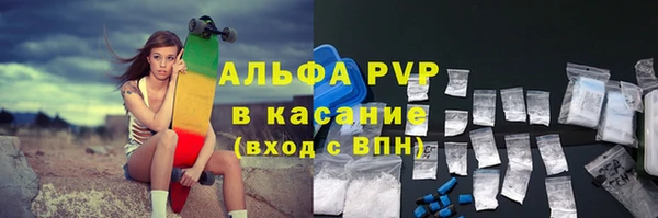 ешки Алексин