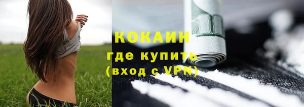 ешки Алексин