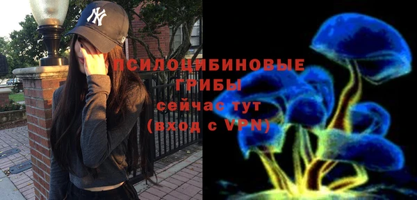 ECSTASY Алексеевка