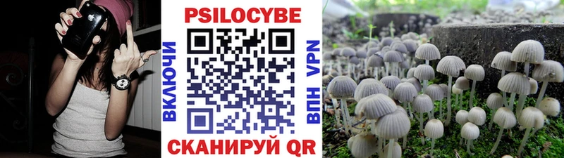 Галлюциногенные грибы прущие грибы  Купить закладки  Вольск 